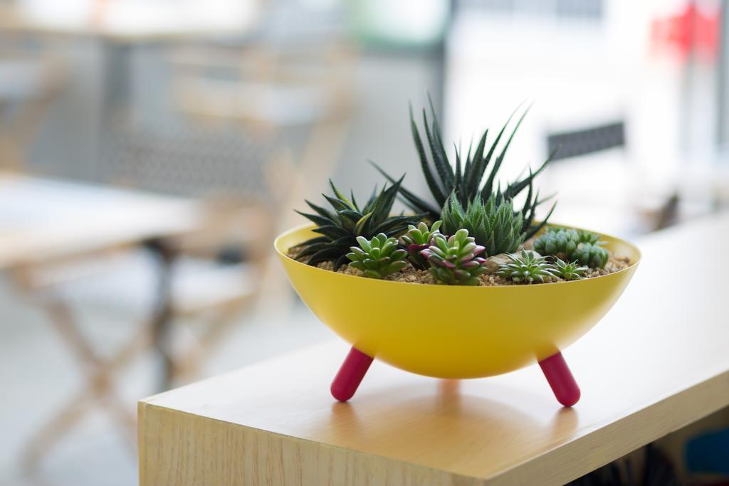 M2 Hotel Phayao Zewnętrze zdjęcie